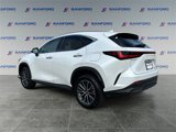 Used 2024 Lexus NX 350 AWD image 3