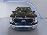 Used 2022 Ford F150 XLT w/ Equipment Group 301A Mid image 2