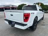 Certified 2023 Ford F150 XLT w/ Equipment Group 302A High image 3