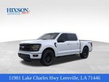 New 2025 Ford F150 XLT image 1