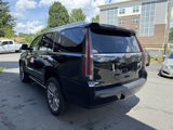 Used 2017 Cadillac Escalade Premium Luxury image 5