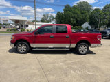 Used 2010 Ford F150 XLT image 2