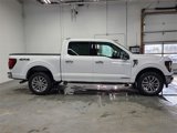 New 2025 Ford F150 XLT w/ Equipment Group 303A High image 4