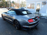 Used 2022 Ford Mustang Premium image 5