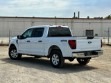 New 2025 Ford F150 XL w/ Equipment Group 104A Hybrid image 4