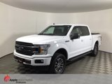 Used 2019 Ford F150 XLT w/ Equipment Group 302A Luxury image 3