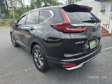 Used 2020 Honda CR-V EX-L image 4