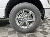 Used 2024 Ford F150 XLT image 6