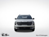 New 2026 Kia Carnival SX Prestige image 3