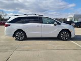 New 2025 Honda Odyssey Elite image 5