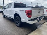 Used 2021 Ford F150 XLT w/ Equipment Group 302A High image 2
