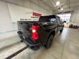 New 2025 Chevrolet Silverado 1500 Custom Trail Boss w/ Midnight Edition image 6