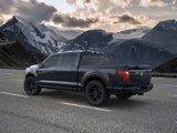 New 2025 Ford F150 Platinum w/ Equipment Group 702A High image 4