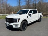 New 2025 Ford F150 Platinum w/ Equipment Group 702A High image 2