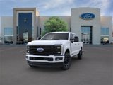 New 2025 Ford F250 Platinum image 2