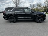 New 2025 Hyundai Palisade Calligraphy image 2