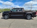 New 2025 Toyota Tundra 1794 Edition image 6