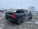 New 2025 Ford F150 XLT w/ Equipment Group 301A Standard image 3