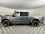 New 2025 Ford F150 XLT w/ Equipment Group 302A MID image 6