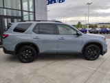 New 2025 Honda Pilot Black Edition image 4