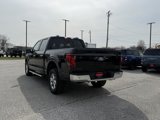 New 2025 Ford F150 XLT w/ Equipment Group 302A MID image 3