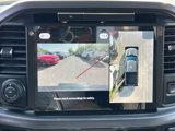 New 2025 Ford F150 XLT image 4