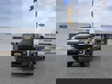 New 2025 Ford F250 Platinum image 2