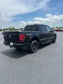 New 2025 Ford F150 STX w/ STX Black Appearance Package image 5