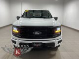 New 2025 Ford F150 XLT image 2