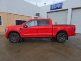 Certified 2023 Ford F150 XLT w/ Equipment Group 302A High image 2