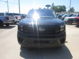 New 2025 Ford Expedition Active image 2