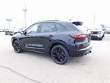 New 2025 Ford Escape ST-Line Elite w/ Premium Technology Package image 5