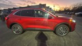 New 2025 Ford Escape SE w/ PHEV Premium Package image 2