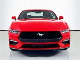 Used 2024 Ford Mustang Coupe image 2