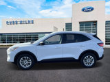Used 2022 Ford Escape SE image 5