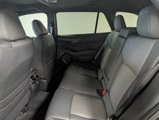 New 2025 Subaru Outback Wilderness image 4