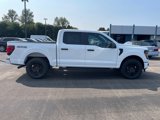 New 2024 Ford F150 STX w/ STX Black Appearance Package image 5
