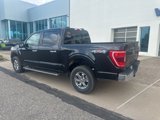 Certified 2023 Ford F150 XLT w/ Equipment Group 302A High image 6