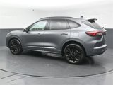 Used 2024 Ford Escape ST-Line Elite w/ Premium Technology Package image 5