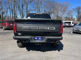 New 2025 Ford F150 Raptor image 4