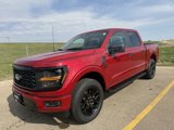 New 2025 Ford F150 STX image 6