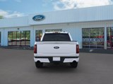 New 2025 Ford F150 XLT w/ Equipment Group 302A MID image 5