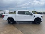 New 2025 Ford F150 XLT image 4