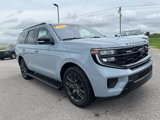 New 2025 Ford Expedition Platinum w/ Stealth Performance Package image 3