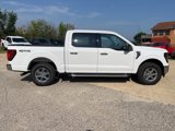 New 2024 Ford F150 XLT image 6