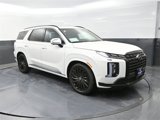 New 2025 Hyundai Palisade Calligraphy image 2