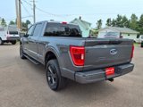 Used 2022 Ford F150 XLT w/ Equipment Group 301A Mid image 4
