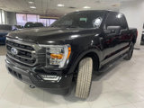 Used 2022 Ford F150 XLT w/ Equipment Group 302A High image 3
