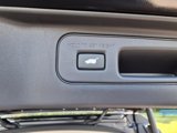 New 2026 Honda Passport RTL image 6