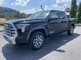 New 2025 Toyota Tundra 1794 Edition image 3